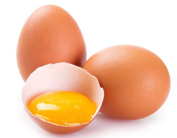 Egg