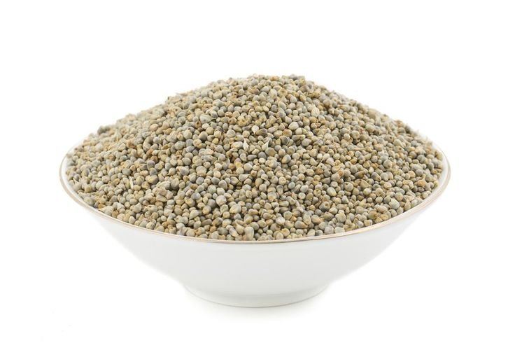 Pearl millet
