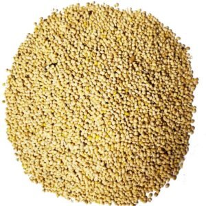 White millet