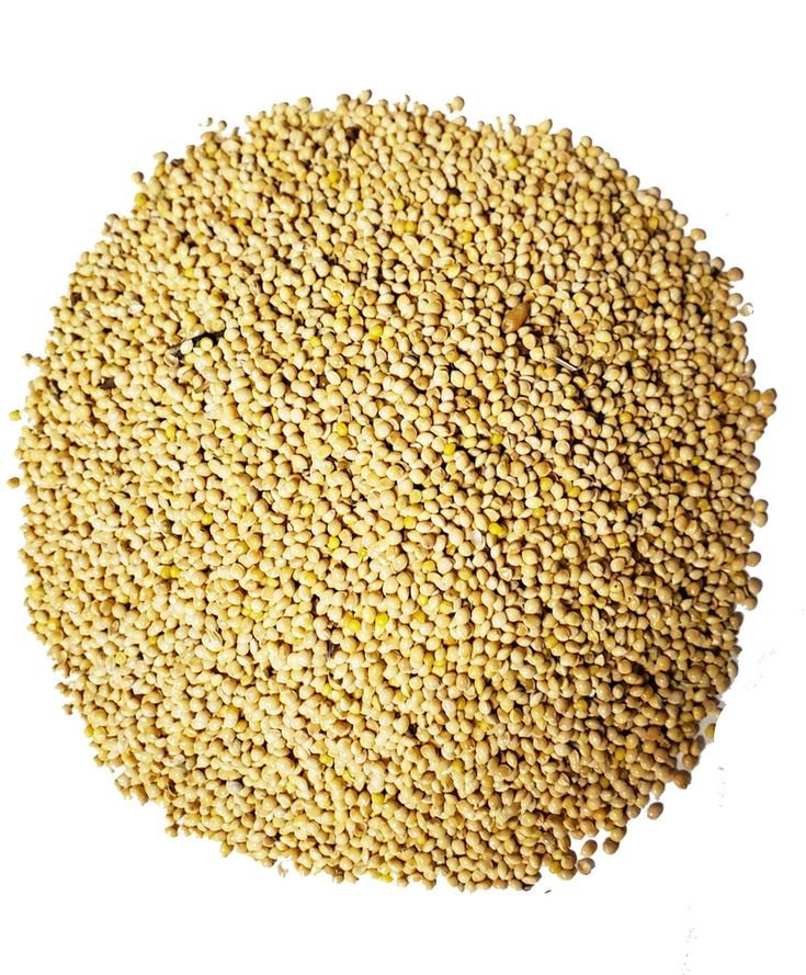 White millet
