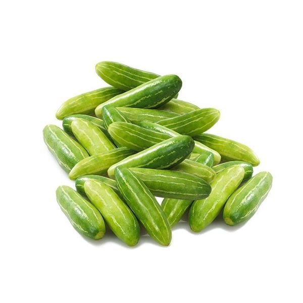 Cucumis